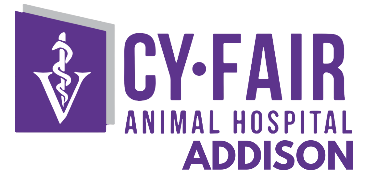 Cy-Fair Animal Hospital - Addison